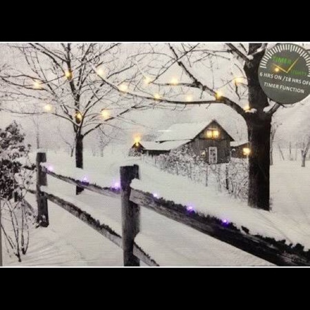 Holiday LED Canvas